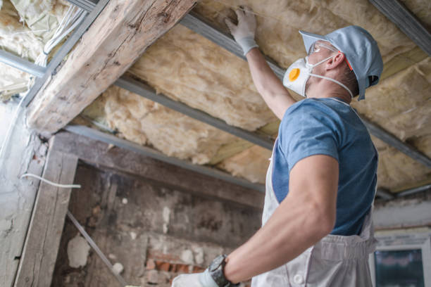 Best Energy Efficiency Insulation in Johnsonburg, PA