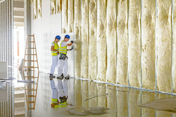 Best Eco-Friendly Insulation in Johnsonburg, PA